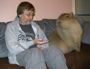 capybara