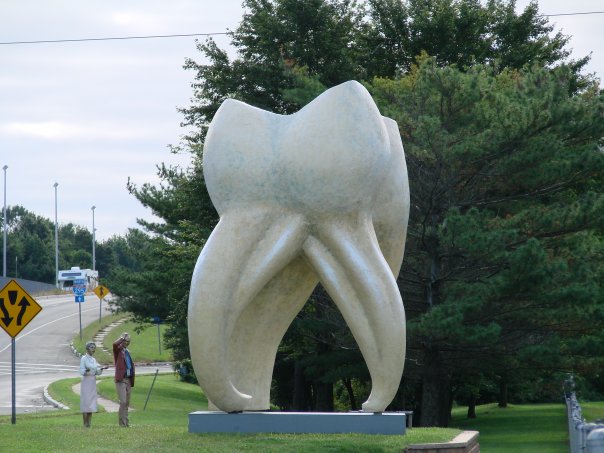 10392221_1263179260258_3743657_n