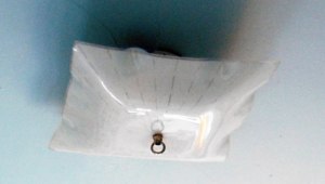 Look at it.  All innocent looking.  But what is it really thinking? 