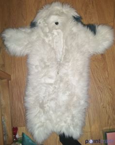 This will teach him to poop on my sidewalk.  