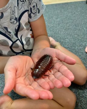 316438248_1081137449238735_3913732362388421451_n