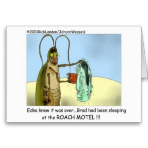 cockroach motel