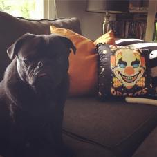 14309678_649449801896292_2153551040924876800_n