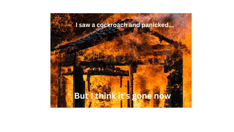 I saw a cockroach and panicked... (1)