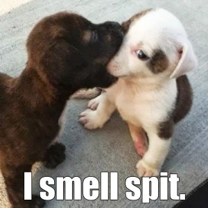 i smell spit (1)