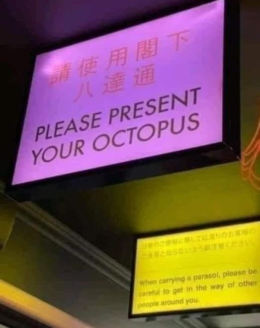 357740689_213292147869294_5256819088347950239_n