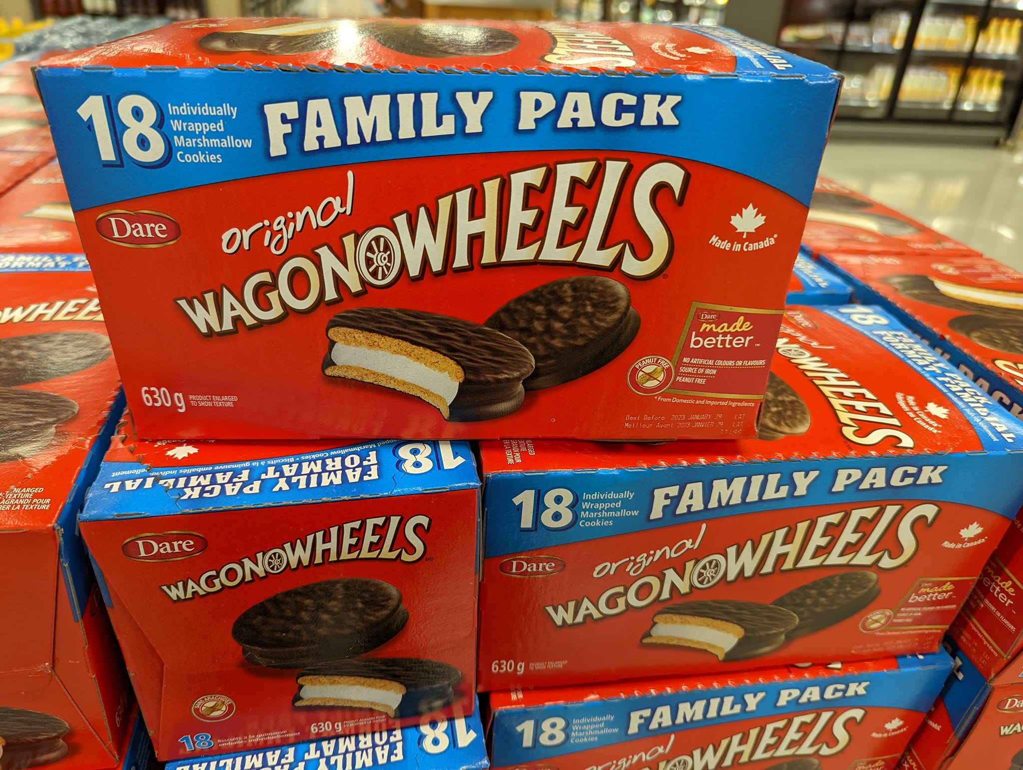 305123254_4617299181639851_4731398159129941834_n