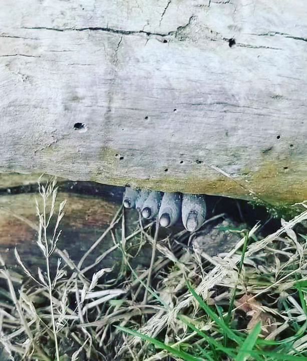 348310204_1436562257118234_4735845640223432739_n