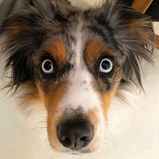 314297650_3745699408990208_2278827273071750517_n