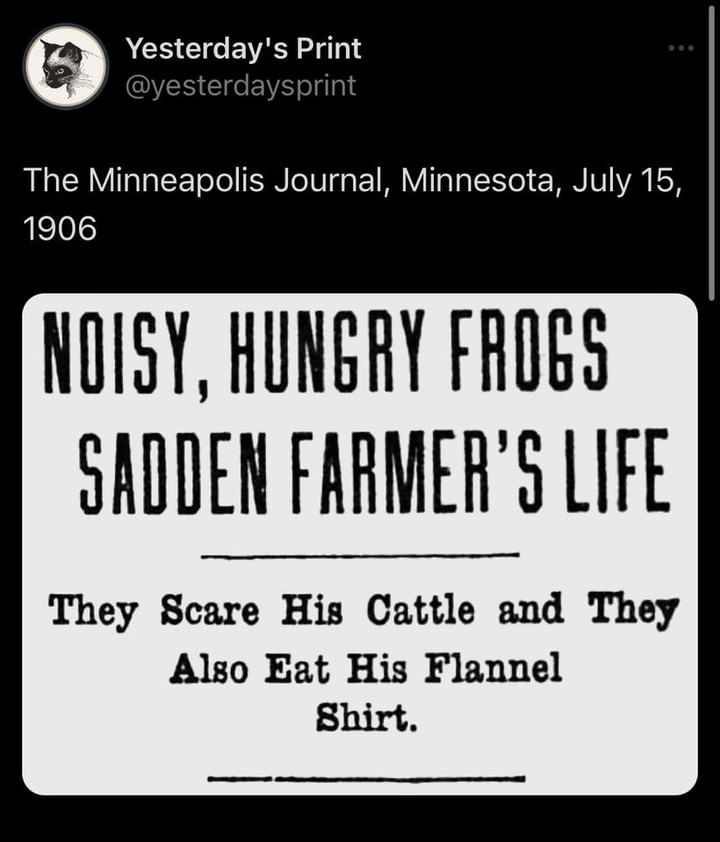 356224072_1033569074675676_6594598842246238692_n